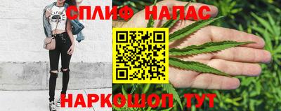 гидра Можга